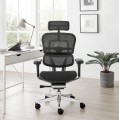Ergonomiczne stanowisko pracy home office z fotelem Ergohuman 2 Elite ST.jpg