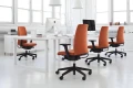fotel-biurowy-motto-10sl-profim-idealne-rozwiazanie-do-open-space.webp