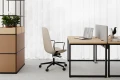 ergonomiczne-stanowisko-pracy-z-przegroda-selva-desk.jpg