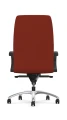 nowoczesny-fotel-biurowy-idaho-uniwersalny-design-do-gabinetu-damskiego-i-meskiego.jpeg
