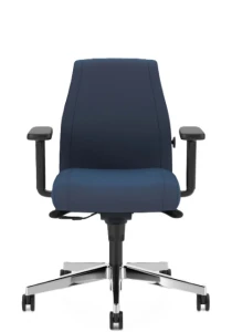Fotel ergonomiczny Viden (Niskie Oparcie) | Dla Osób Niższych