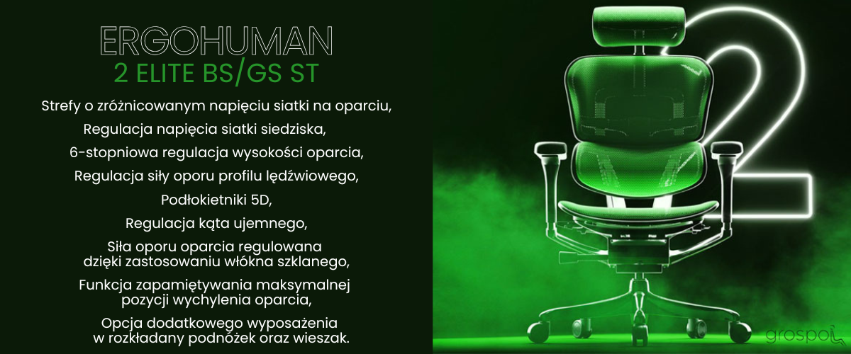 Pierwsze miejsce w rankingu wygody: fotel Ergohuman 2 Elite ST dostępny w ofercie Strefy Ergonomii.